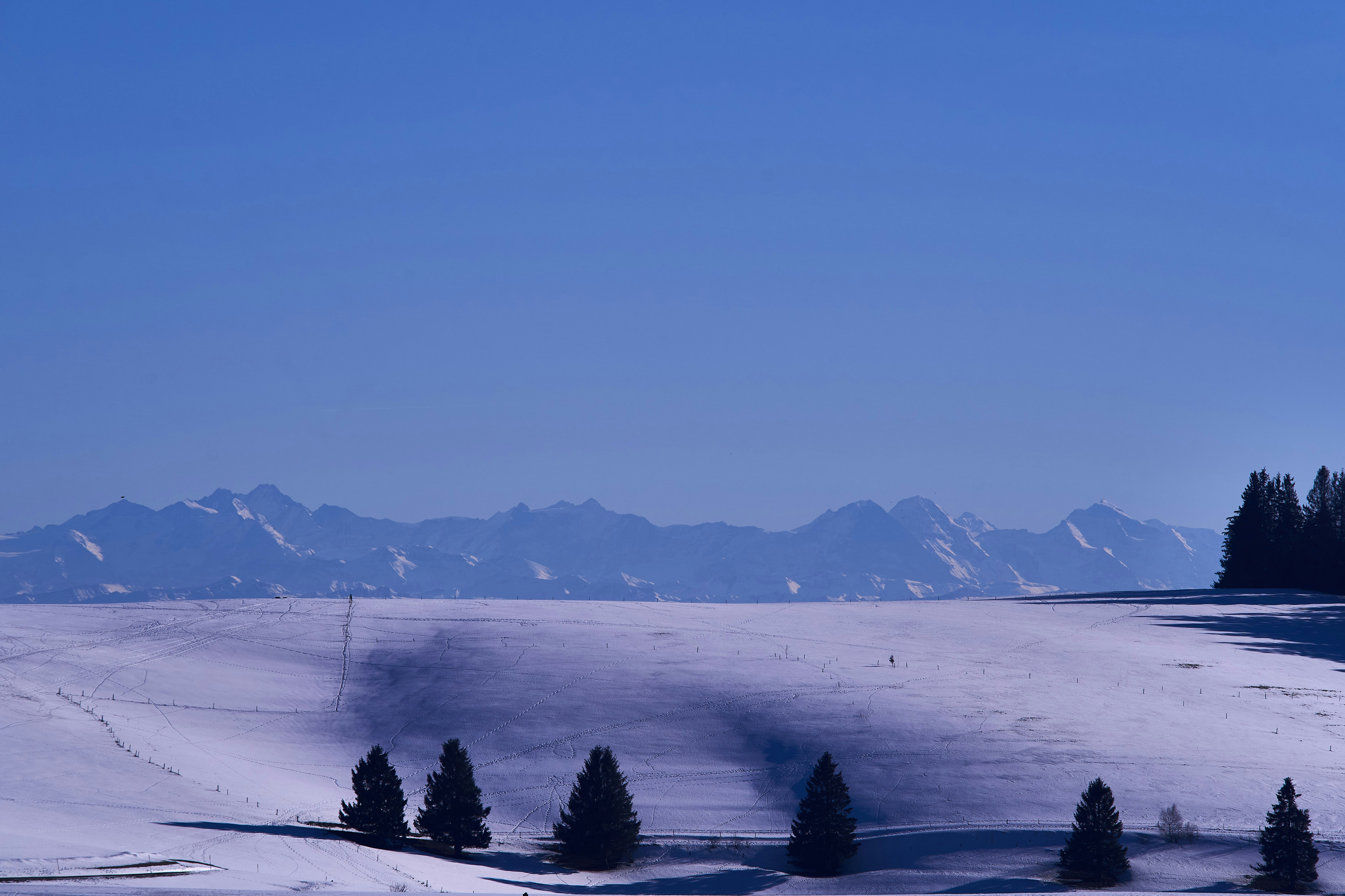 Photo by wolfgang_hasselmann