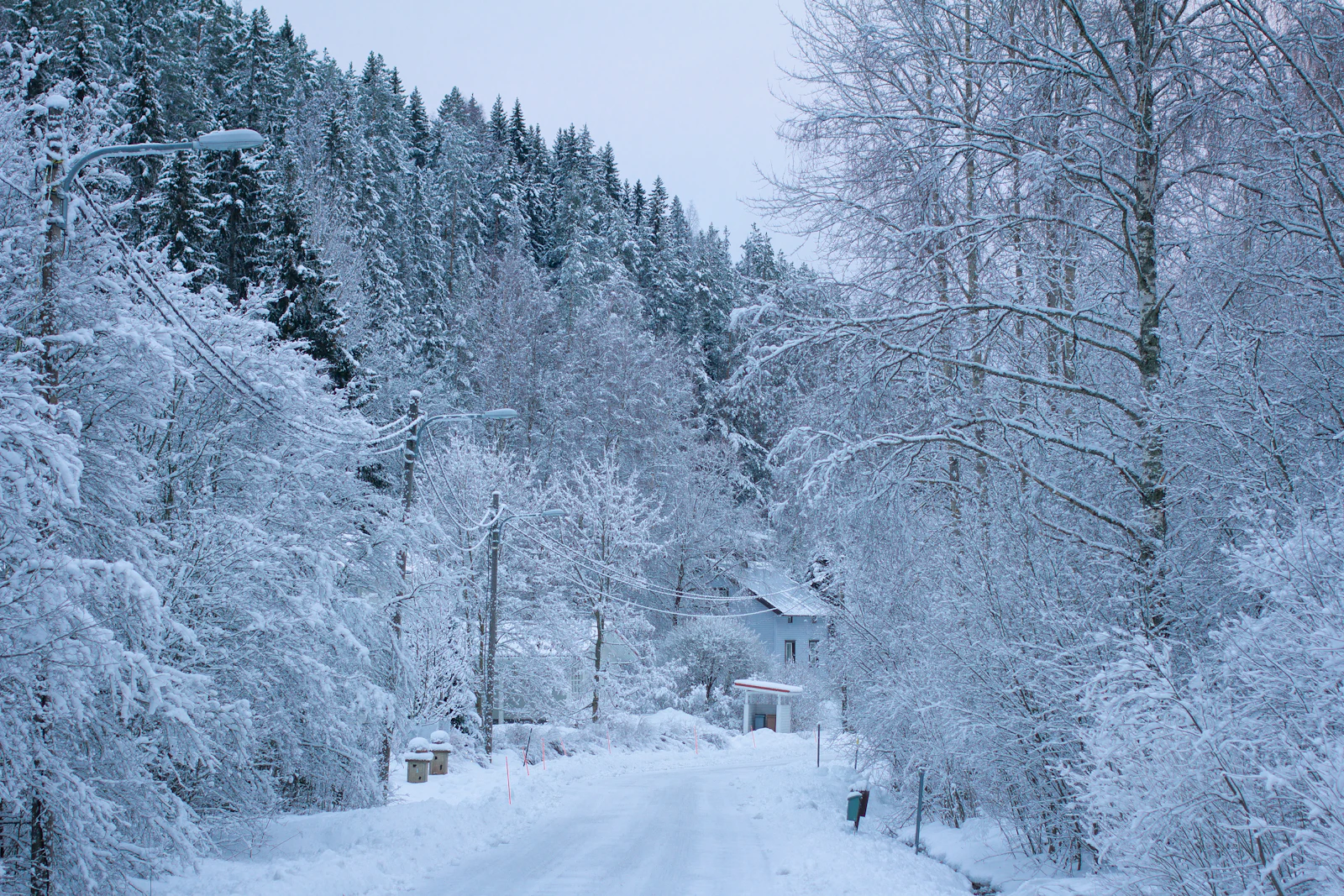A narrow Finnish road disappears through deep snow and conifers