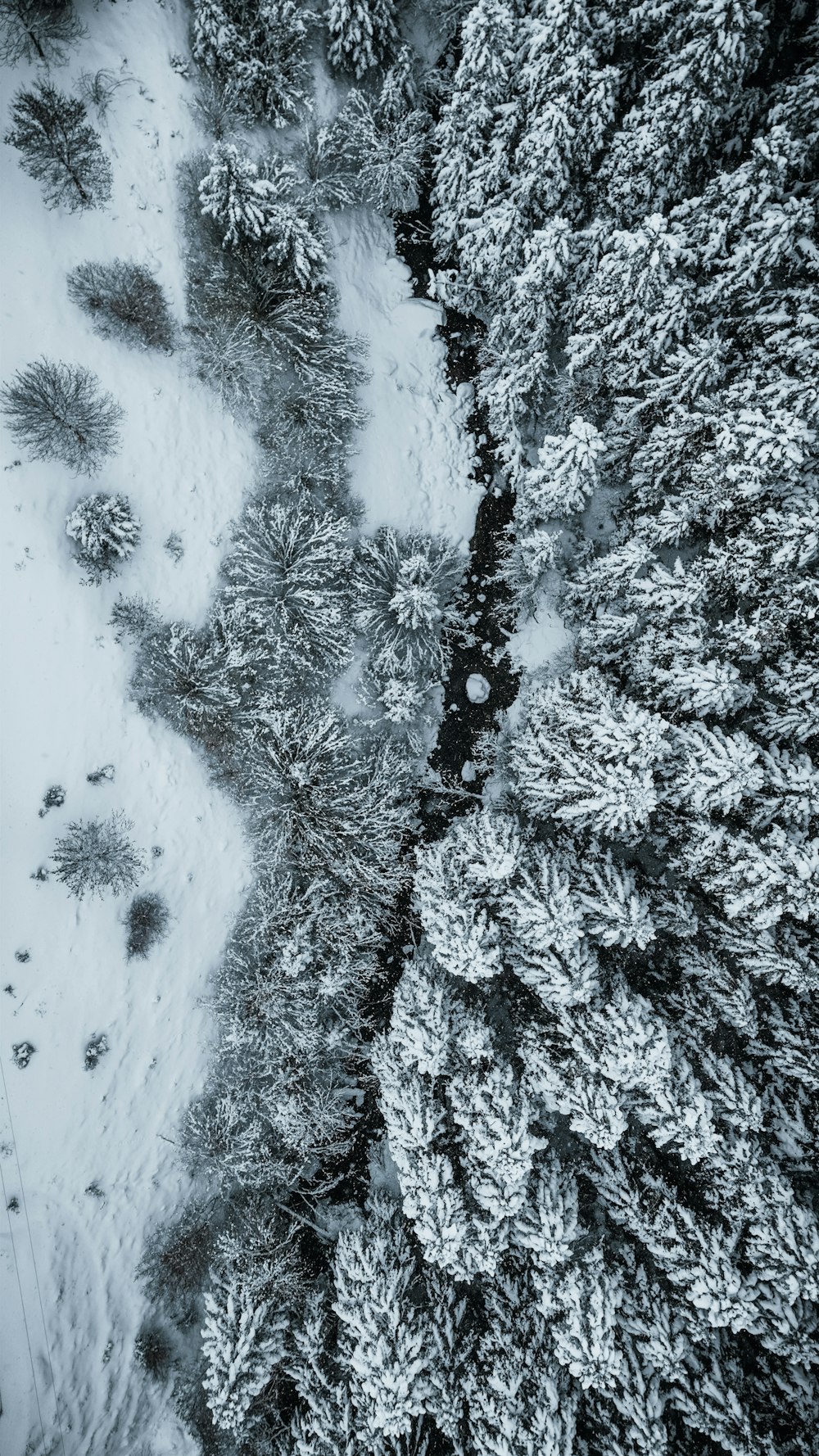 an aerial view of a snow covered forest