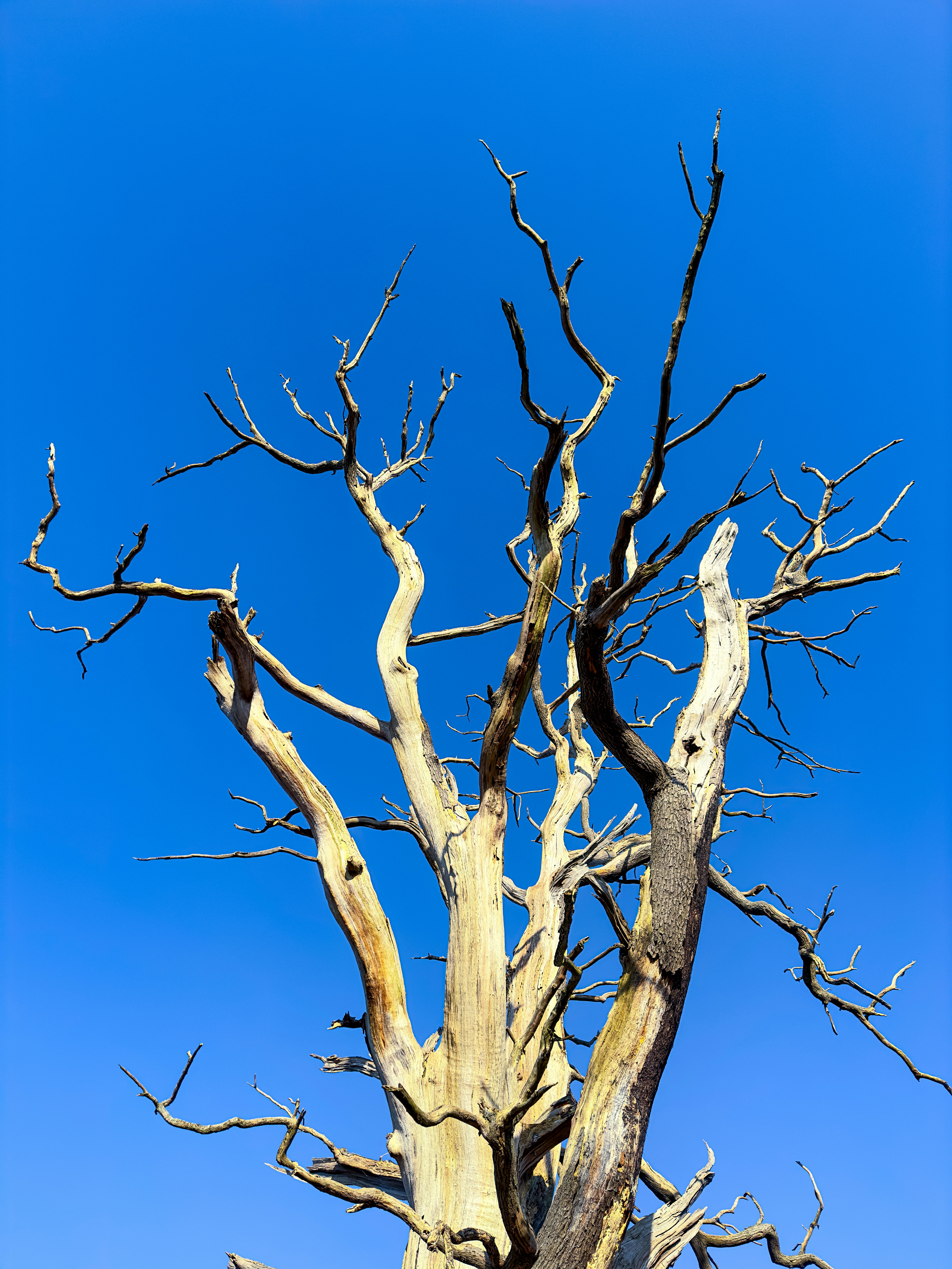 Photo by bill_eccles