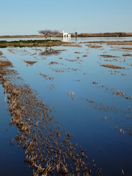 A serene landscape showing a community recovering after a natural disaster.