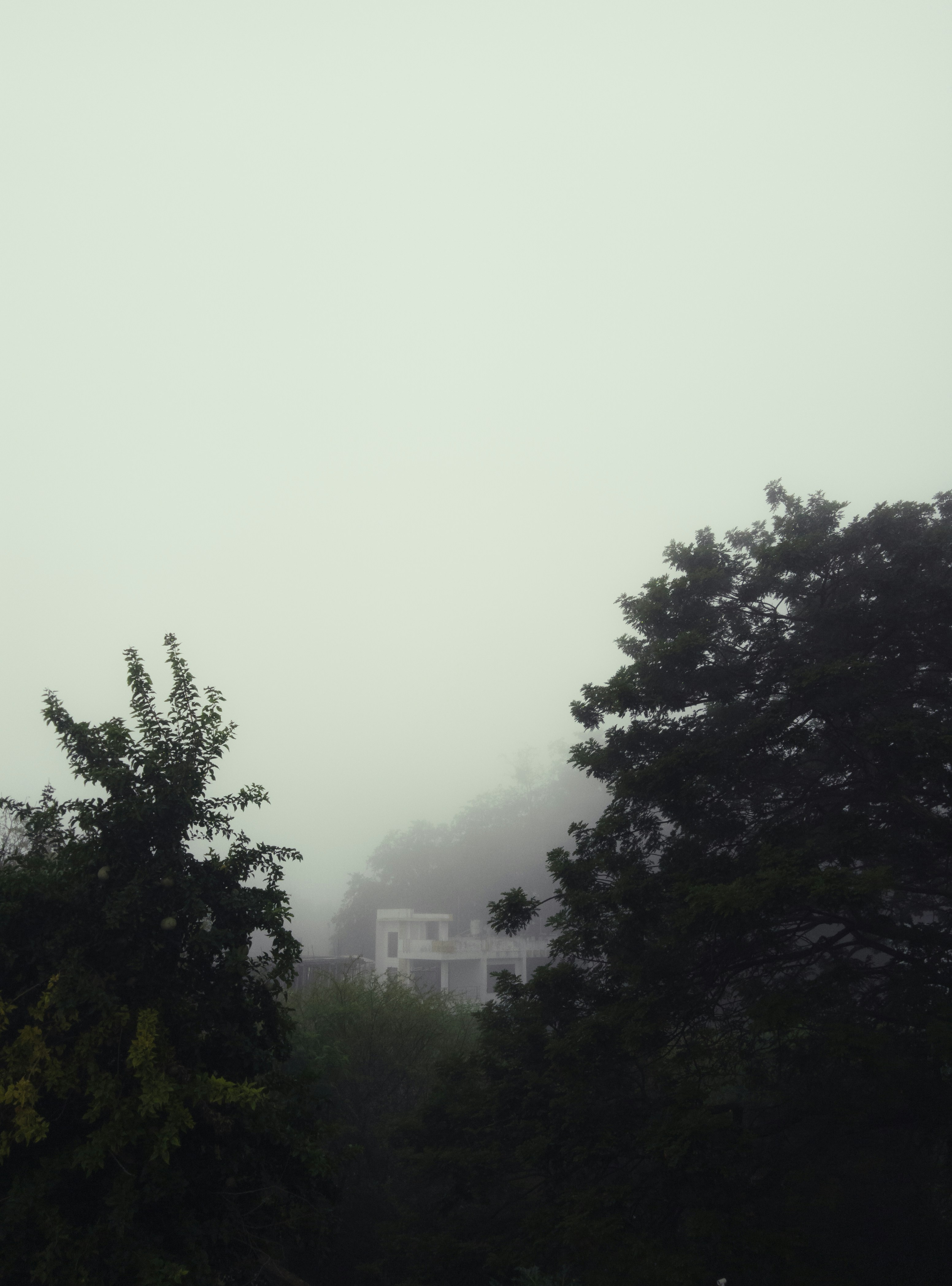 Photo by sanket_khatua