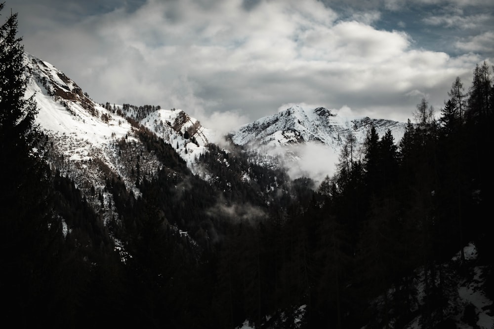 a mountain covered in snow and surrounded by trees