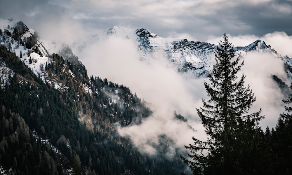 a mountain covered in clouds and trees under a cloudy sky