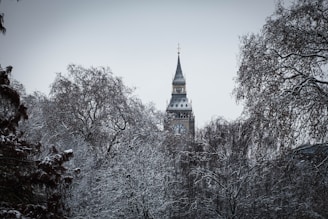 a tall clock tower towering over a forest covered in snow