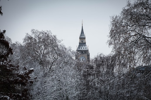 a tall clock tower towering over a forest covered in snow
