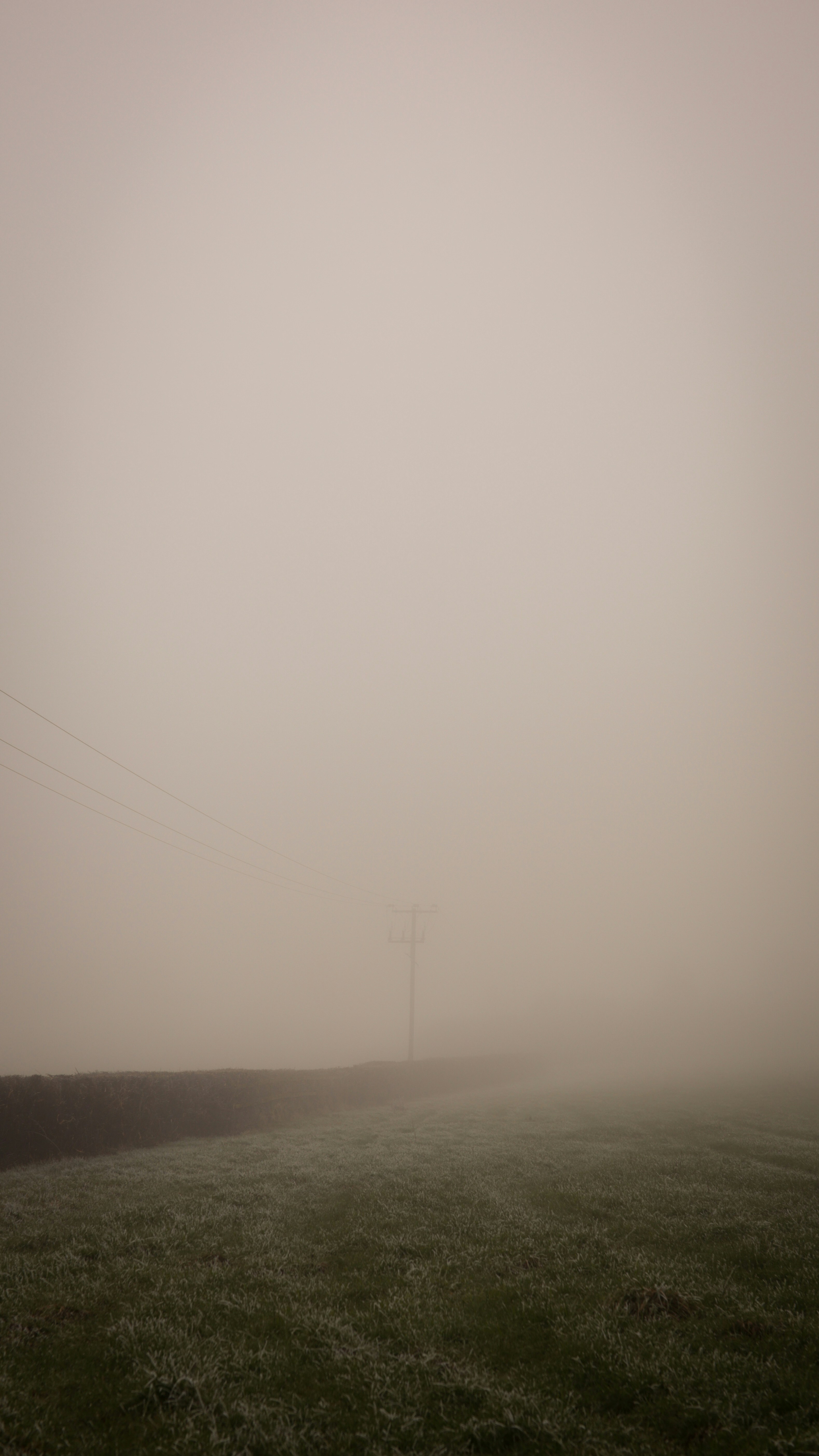 Photo by denleyjones