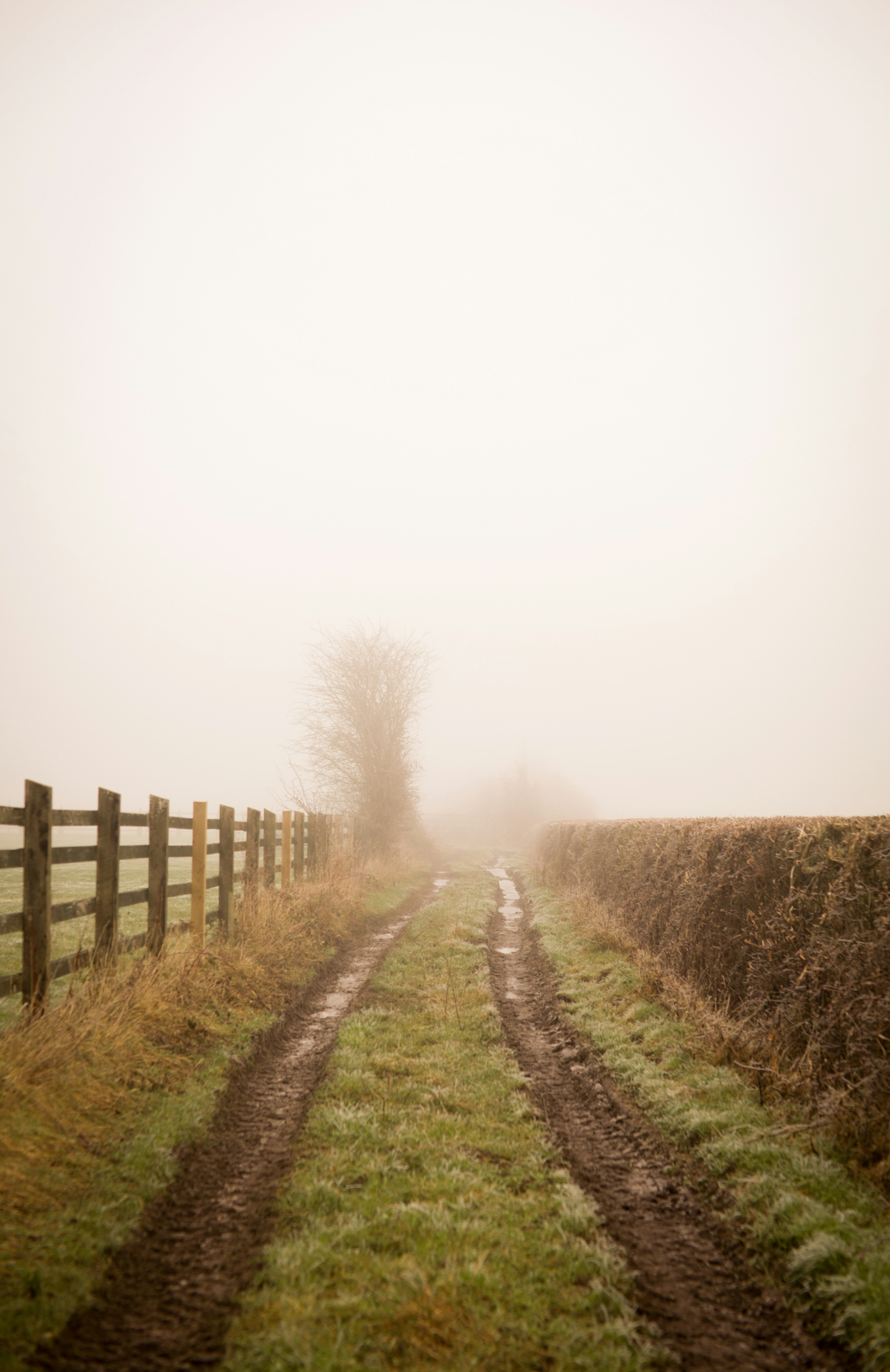 Pin by Alexandra Rose on FS | Nature pictures, Nature photography, Farm  photography, image size:3000x4625