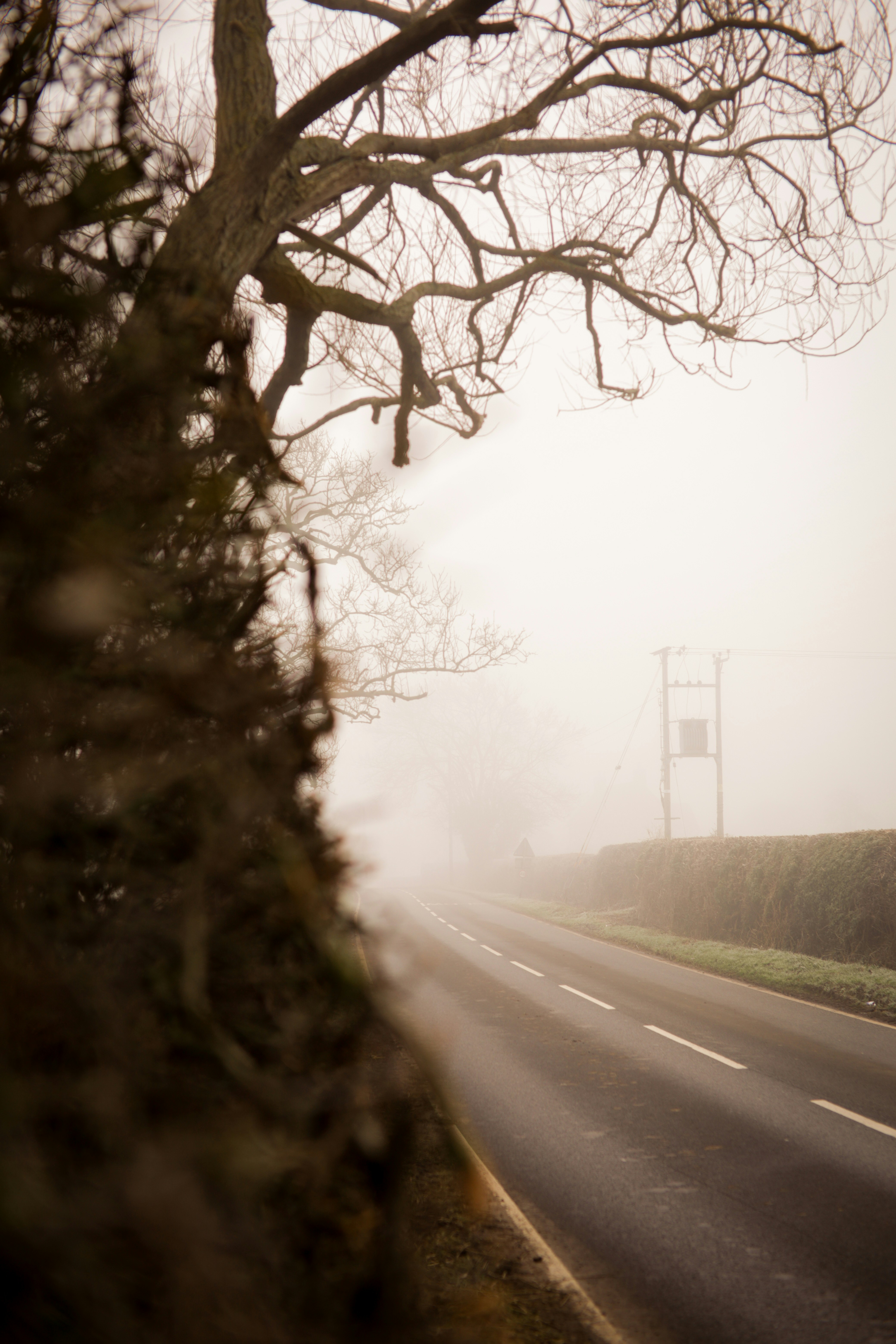 Photo by denleyjones