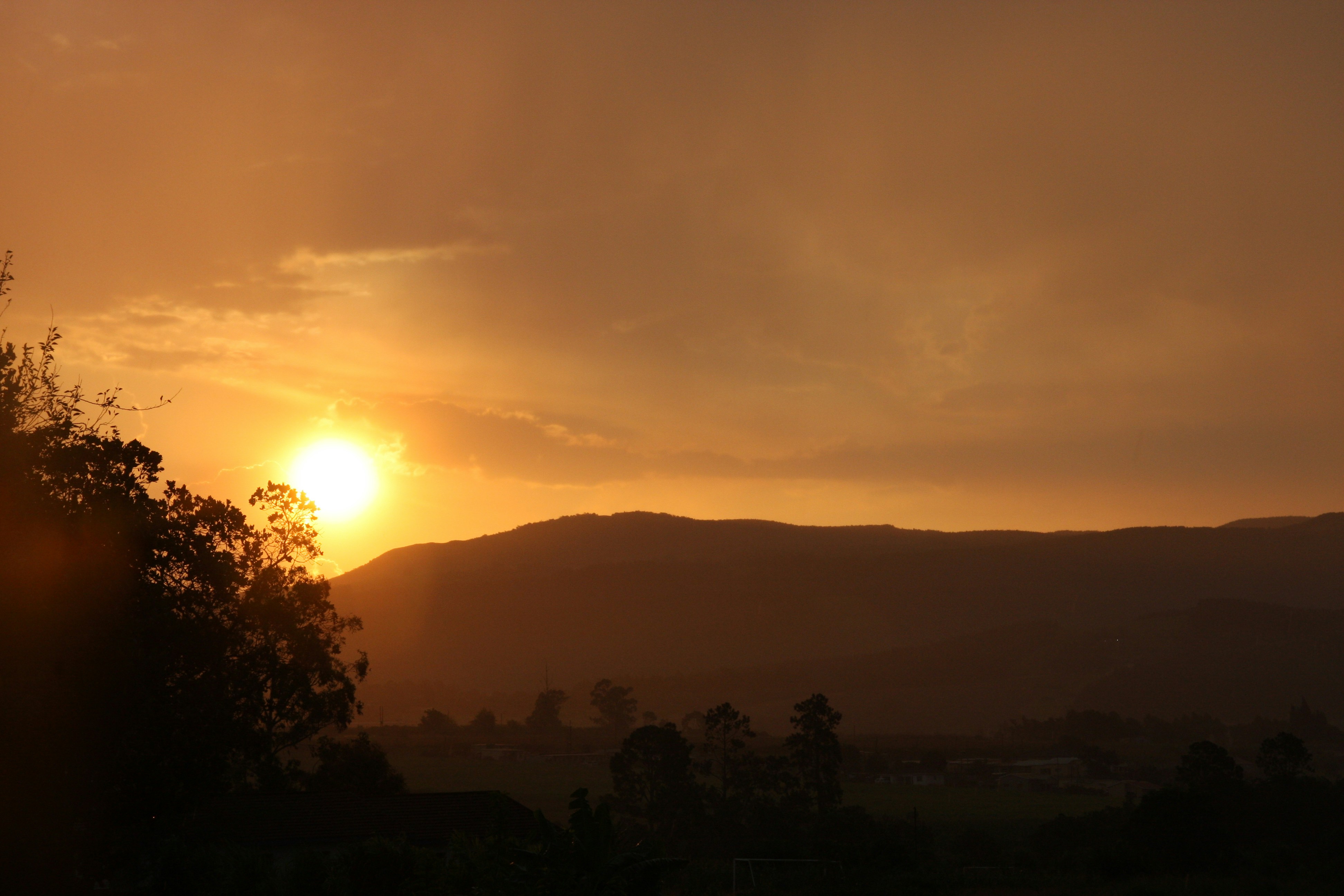 Photo by mccormacksalesian