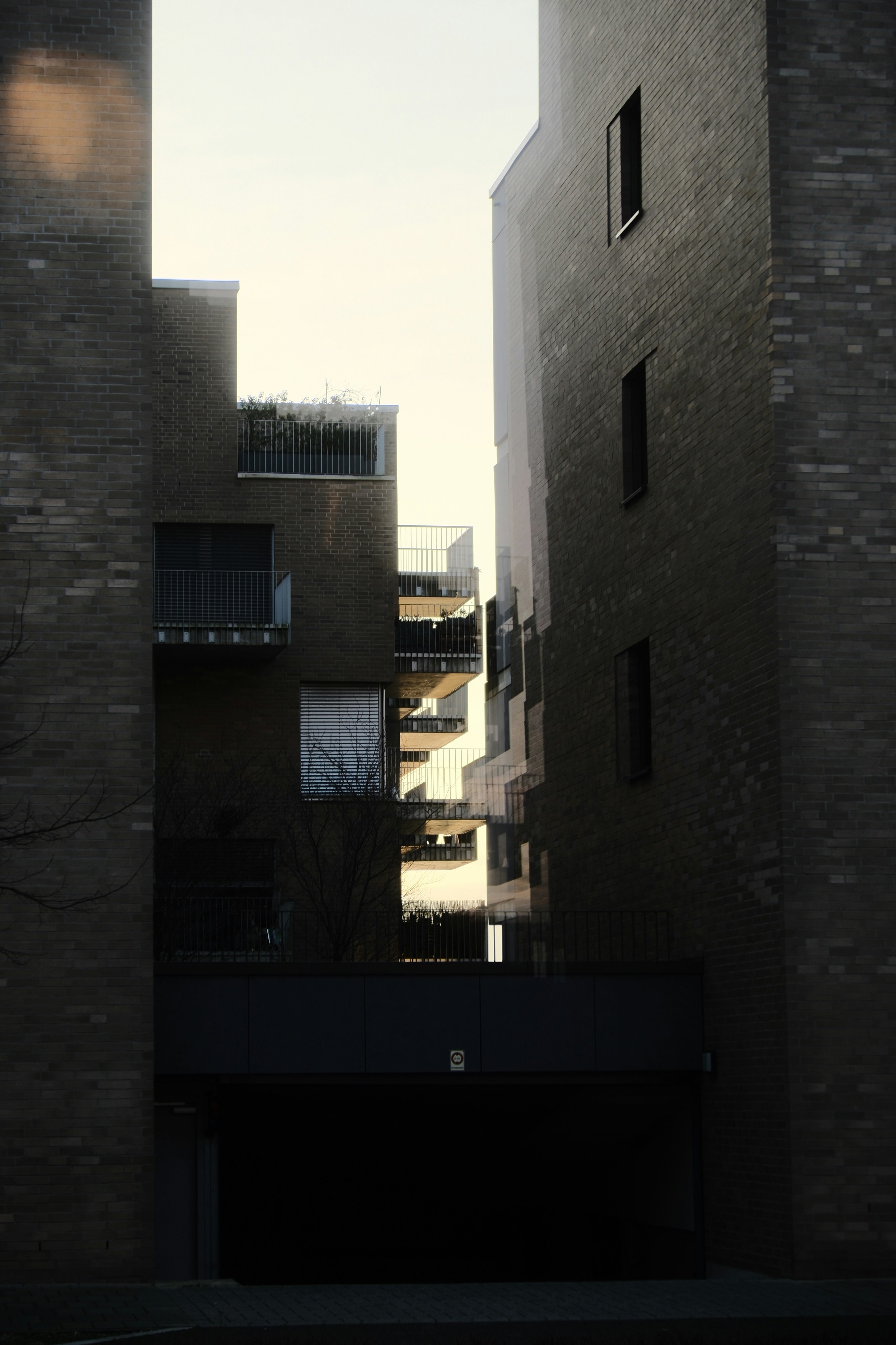 Photo by finnwei