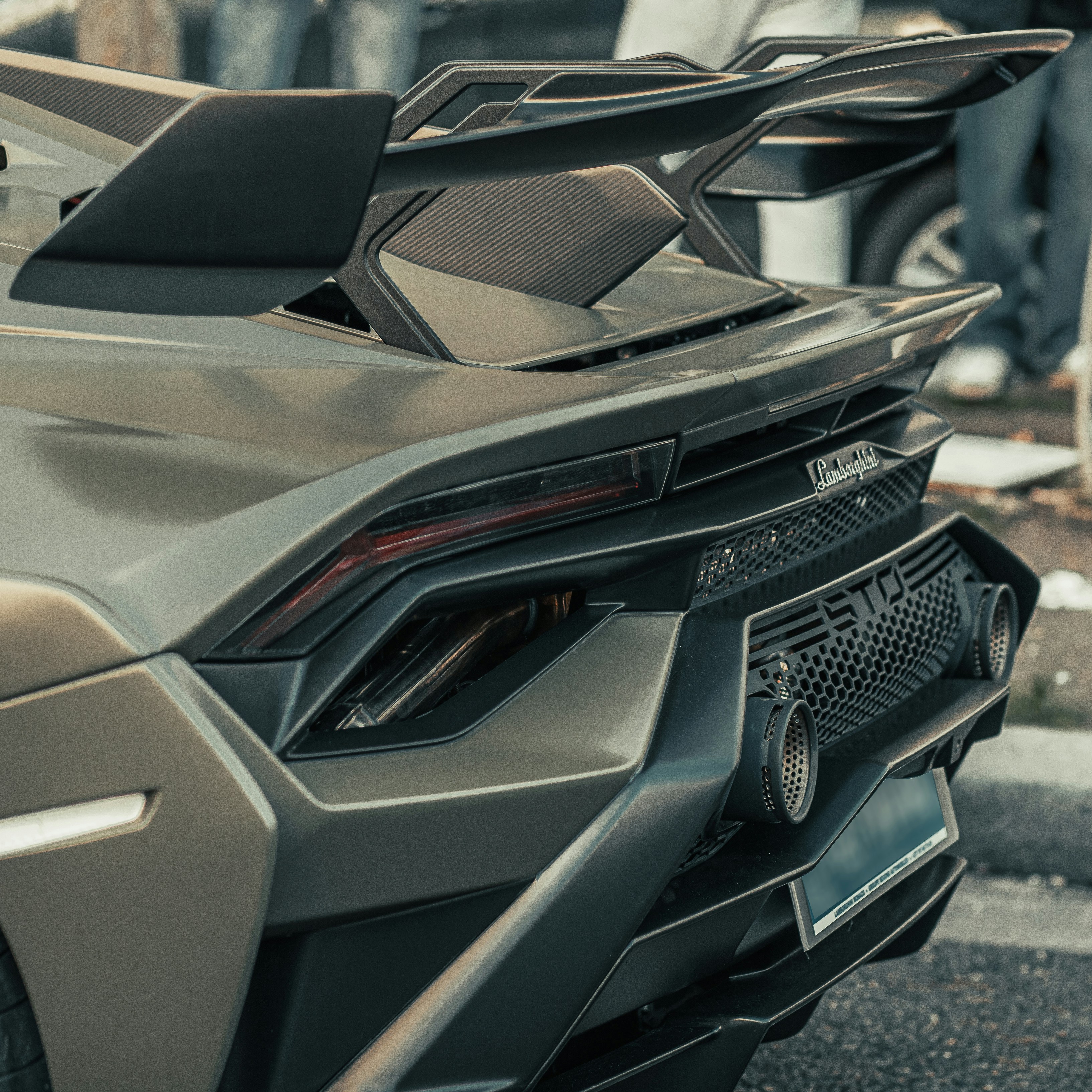 Photo by almeidajorgephotographie