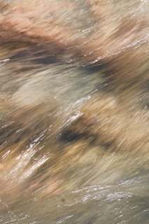 A serene close-up of flowing abstract shapes in soft earth tones, capturing a sense of calm and organic movement.
