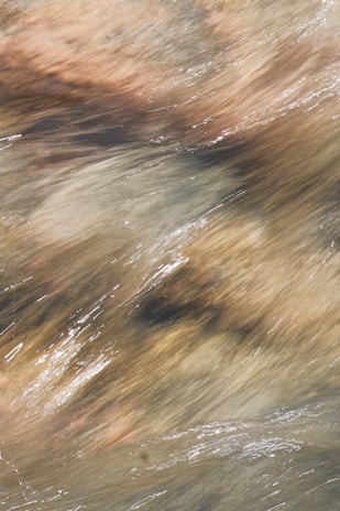 A serene close-up of flowing abstract shapes in soft earth tones, capturing a sense of calm and organic movement.