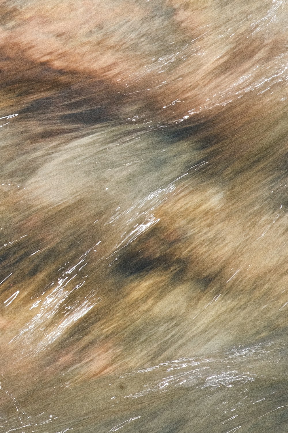 a blurry photo of a bird flying over a body of water