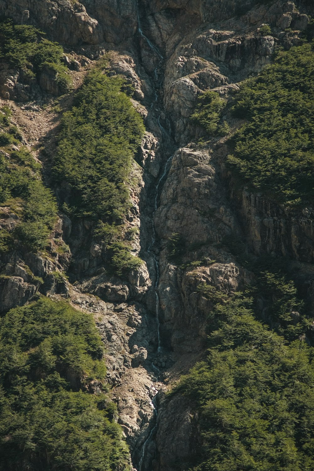 a very tall mountain with some trees growing on it