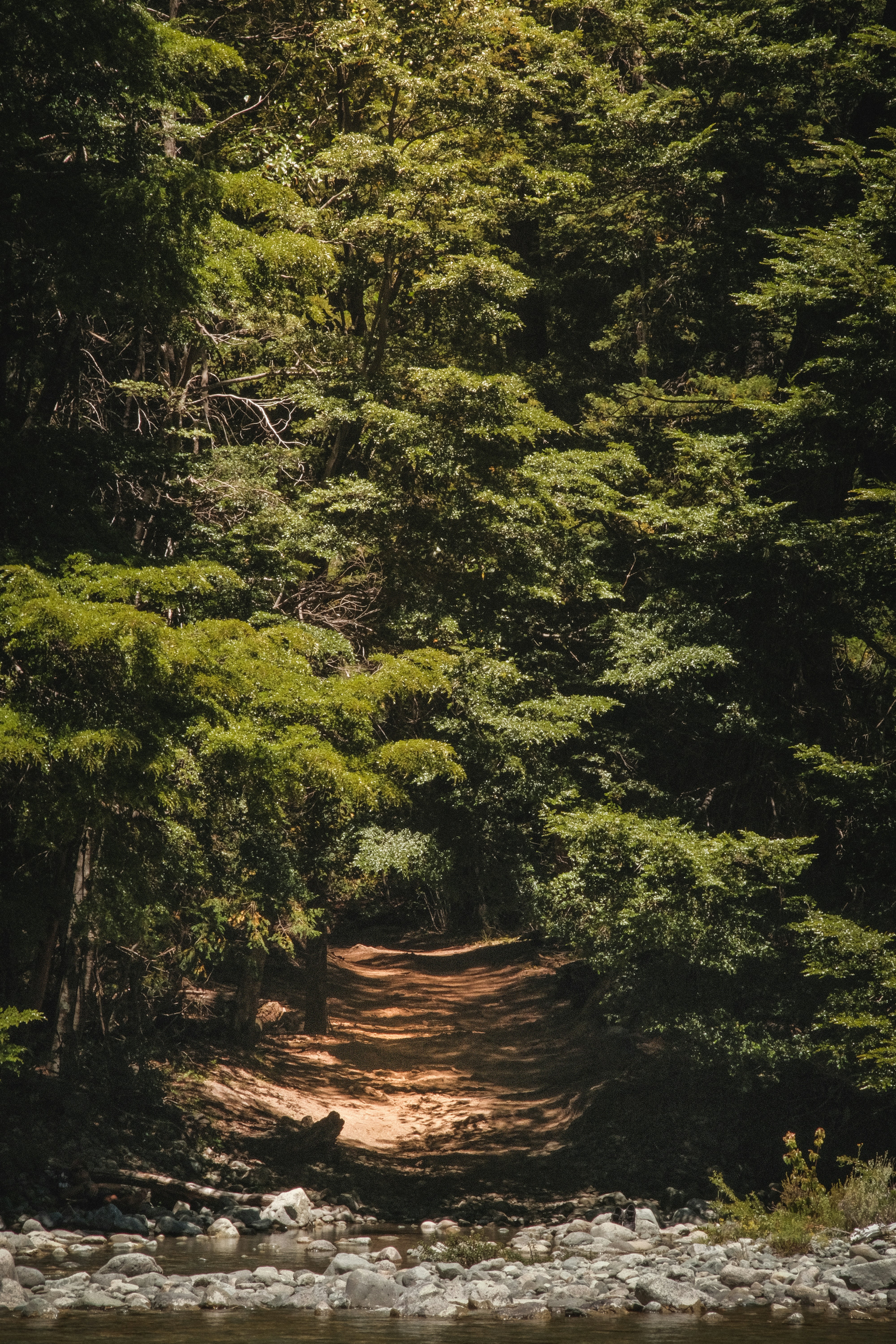 Photo by joseignaciopompe