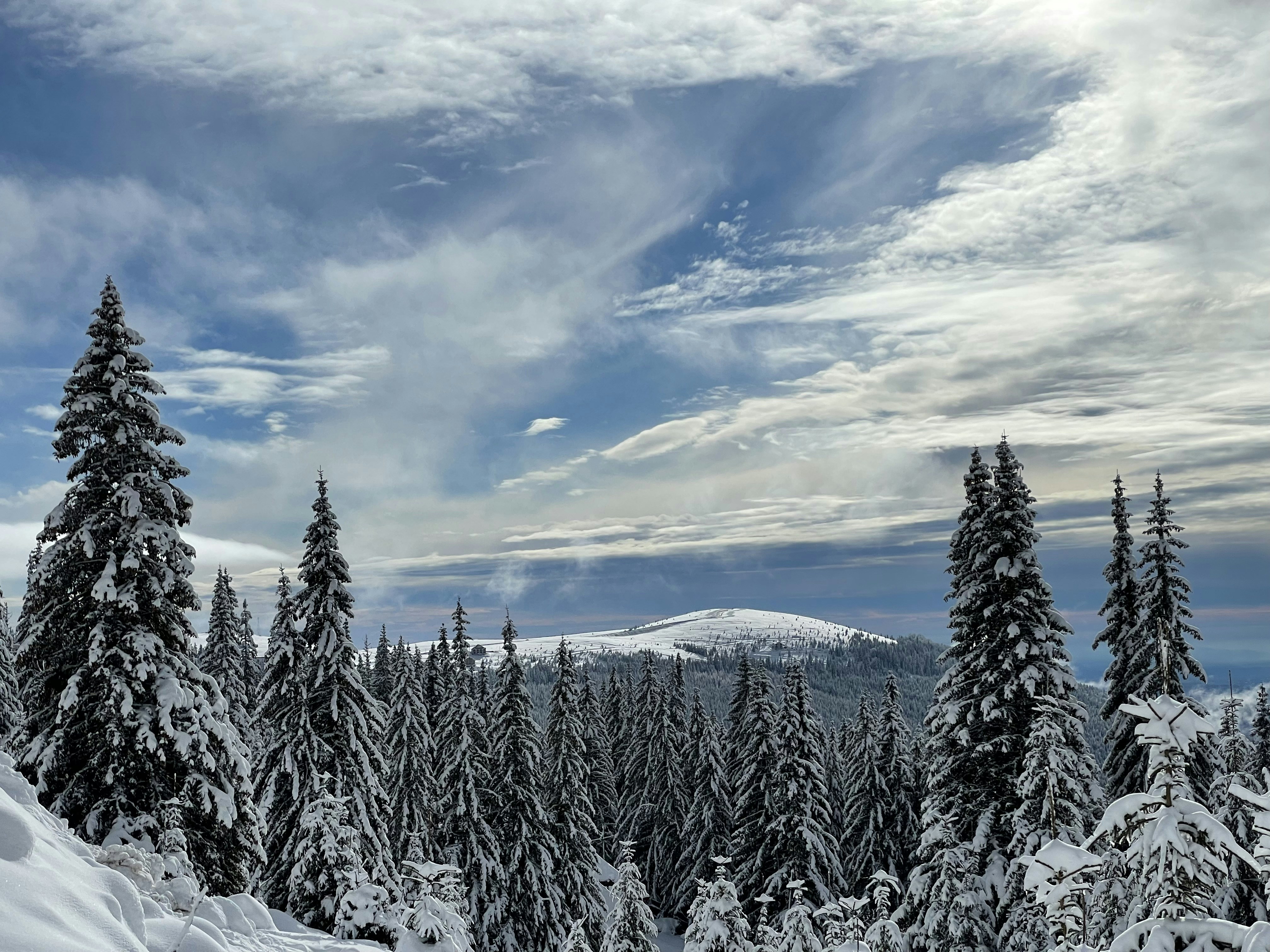 Photo by sonyamaria15