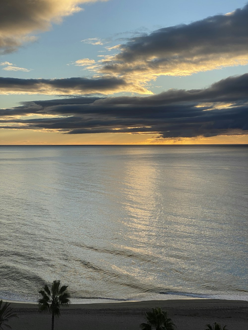 the sun is setting over the ocean with palm trees in the foreground