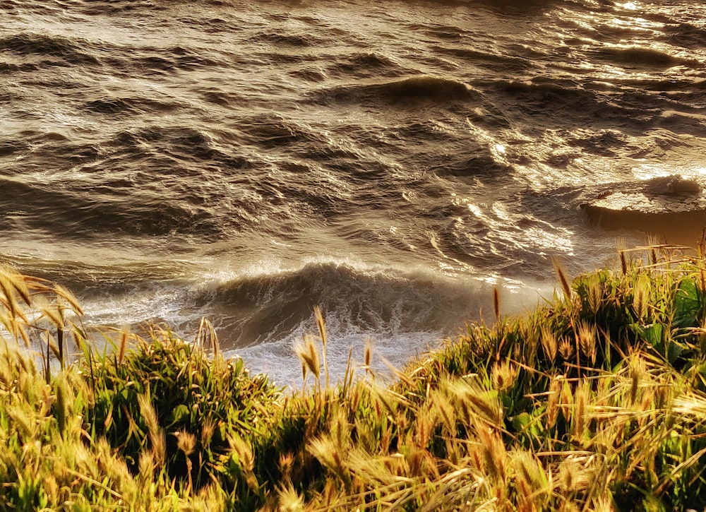 a view of a body of water with waves coming in