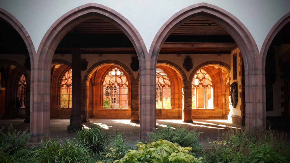 arches and windows in a building with plants in the foreground
