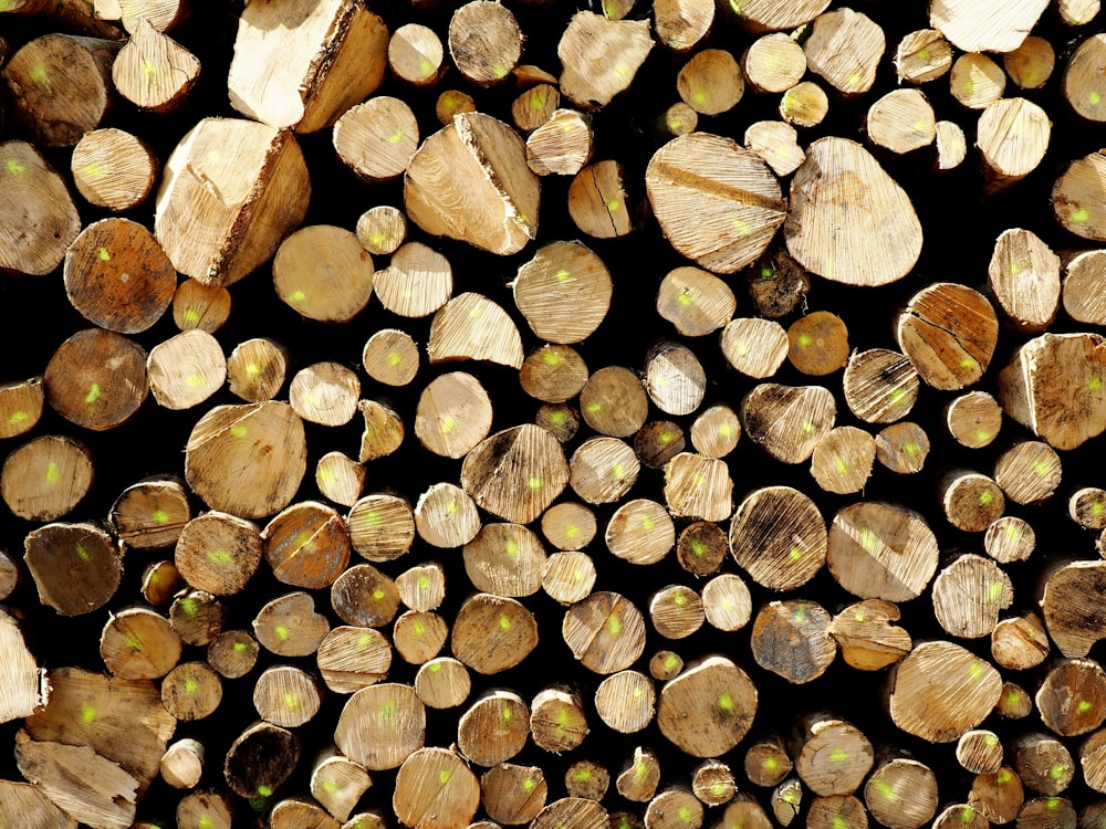 a pile of cut logs sitting next to each other