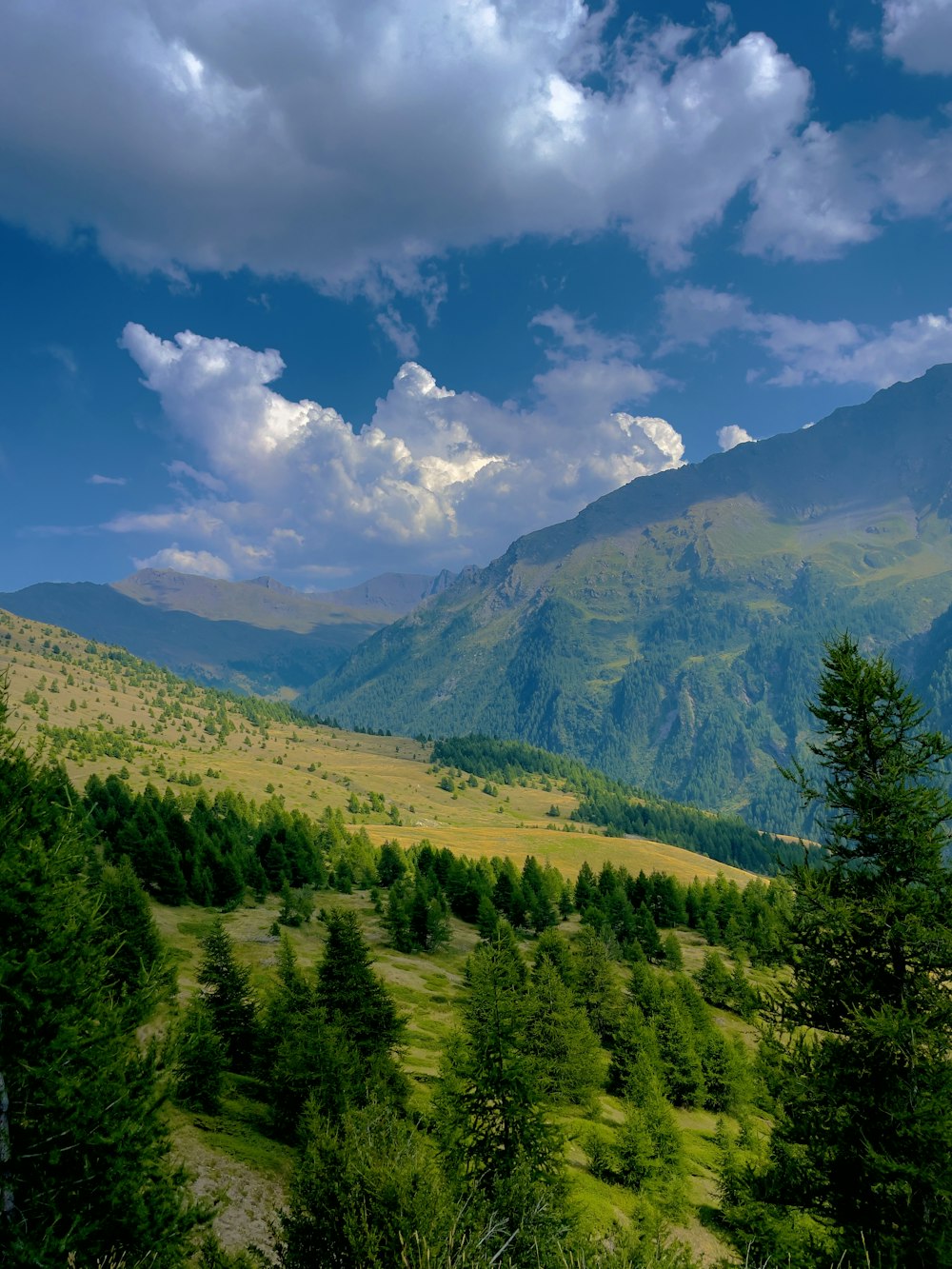 a scenic view of a mountain range with trees in the foreground