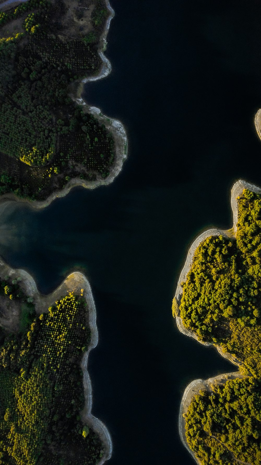 an aerial view of a body of water surrounded by trees