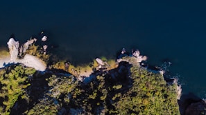 A panoramic view of the rocky coastline and lush greenery of the protected marine park.