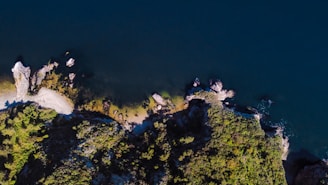 The aerial view captures a rugged coastline with rocky formations and lush greenery. The deep blue ocean water contrasts with the vibrant green vegetation along the cliff edges.