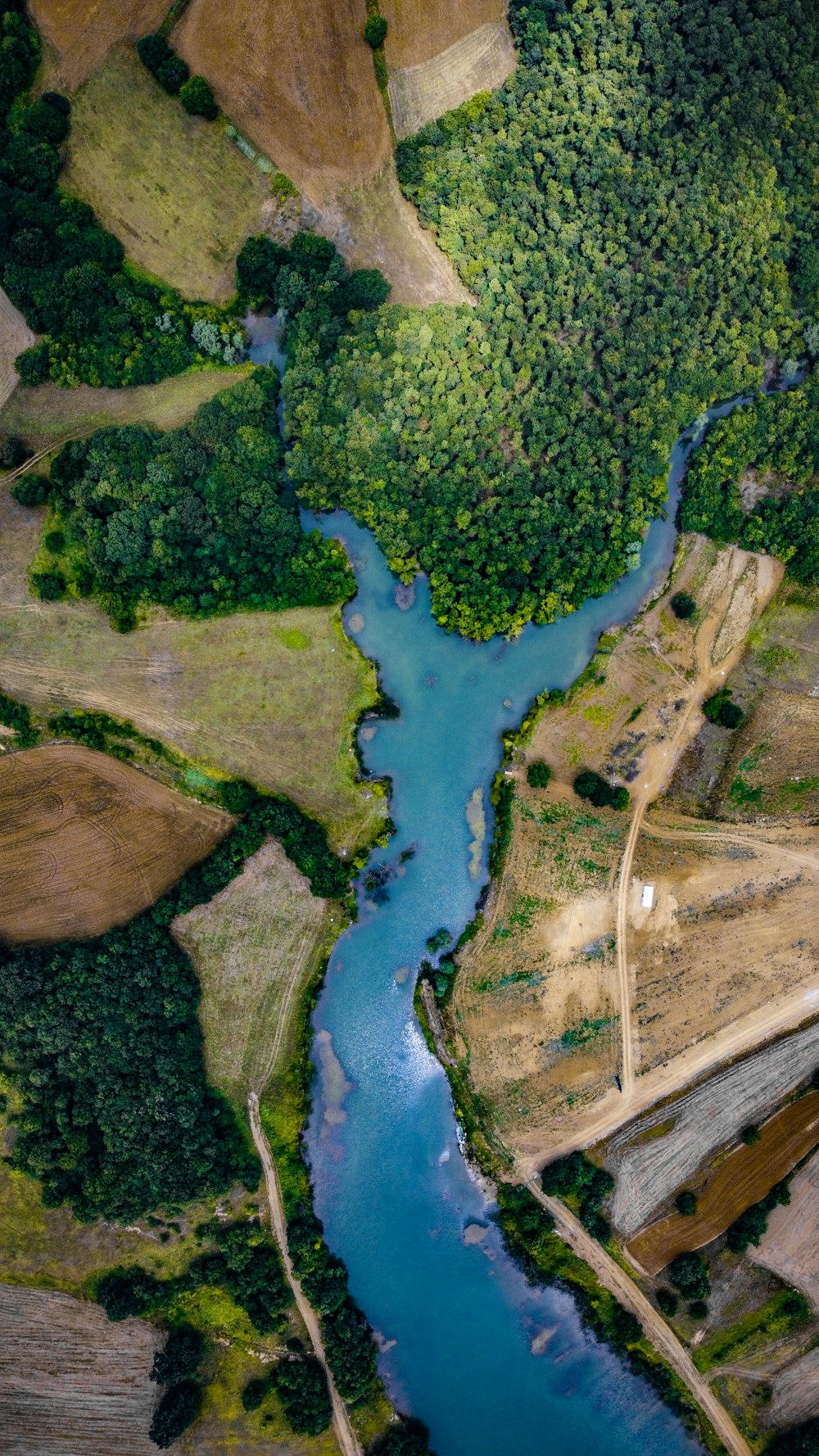 a river running through a lush green countryside