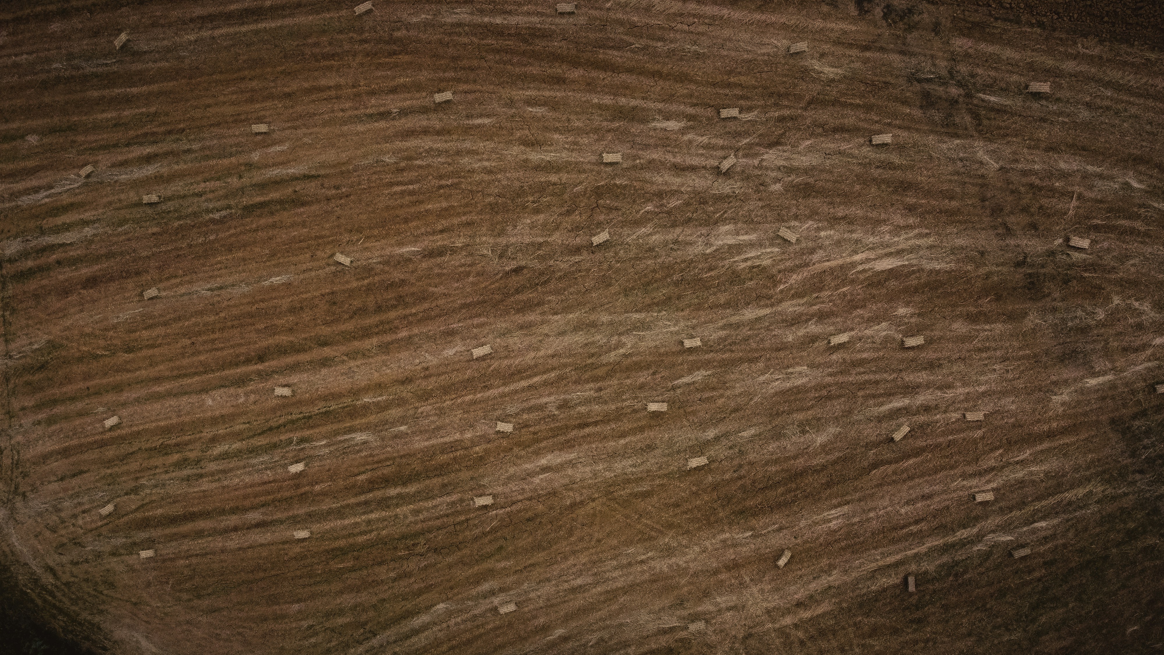 Saç spreyi kullanarak ciltteki veya yüzeydeki saç boyası lekesini çıkarma tekniğini gösteren bir uzman ipucu görseli.