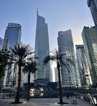 a group of palm trees sitting in front of tall buildings