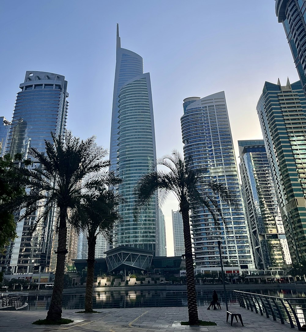 a group of palm trees sitting in front of tall buildings