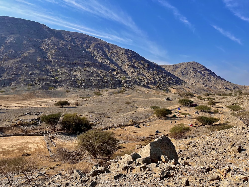 a rocky hillside with a few trees in the foreground