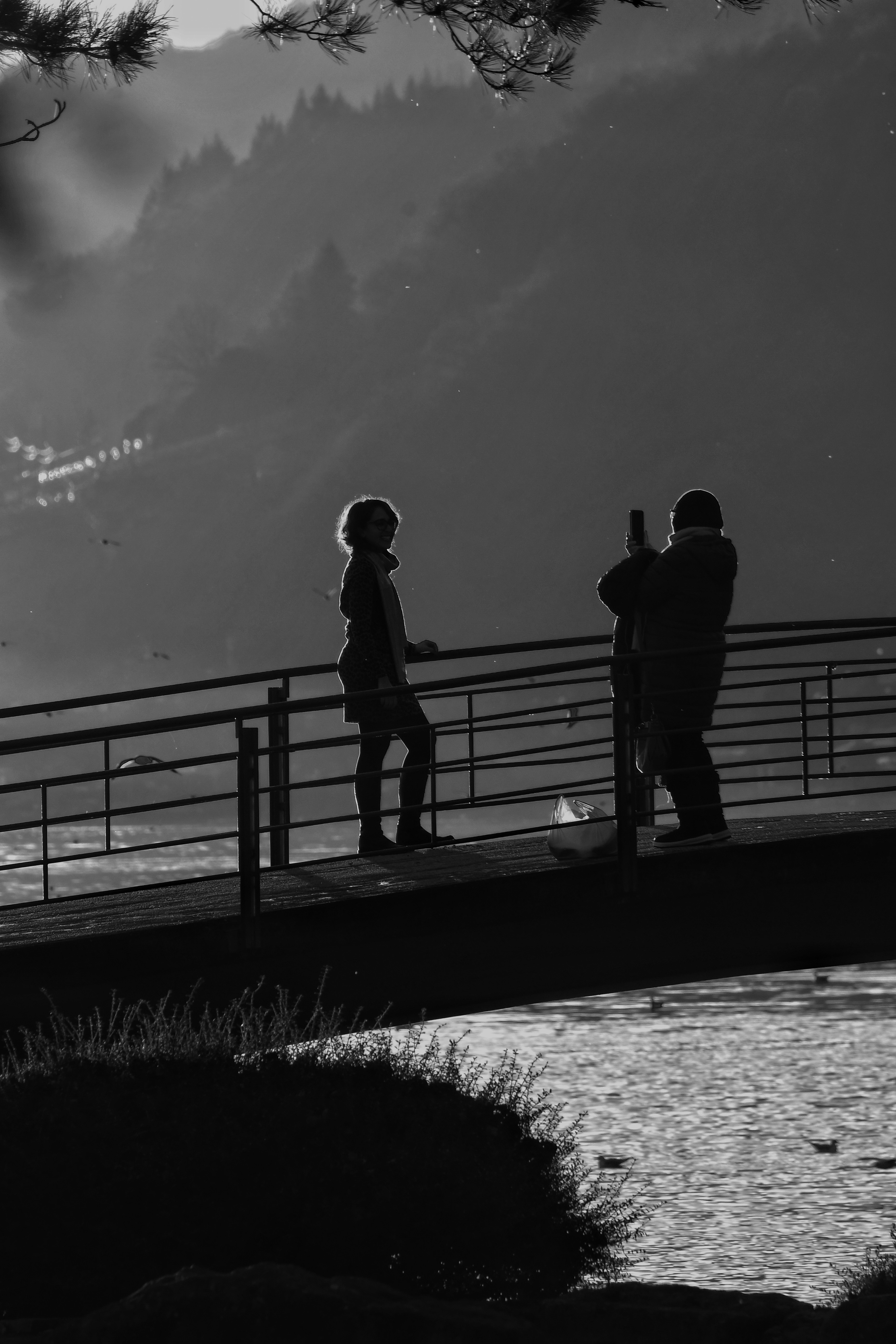 Photo by pedrino5_official