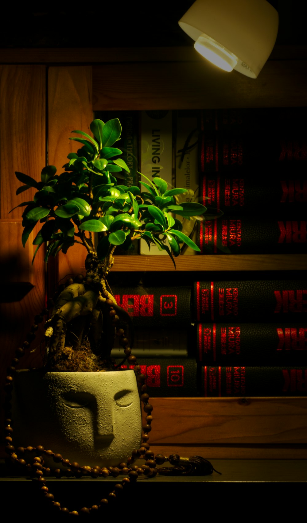 a bonsai tree in a white pot on a table