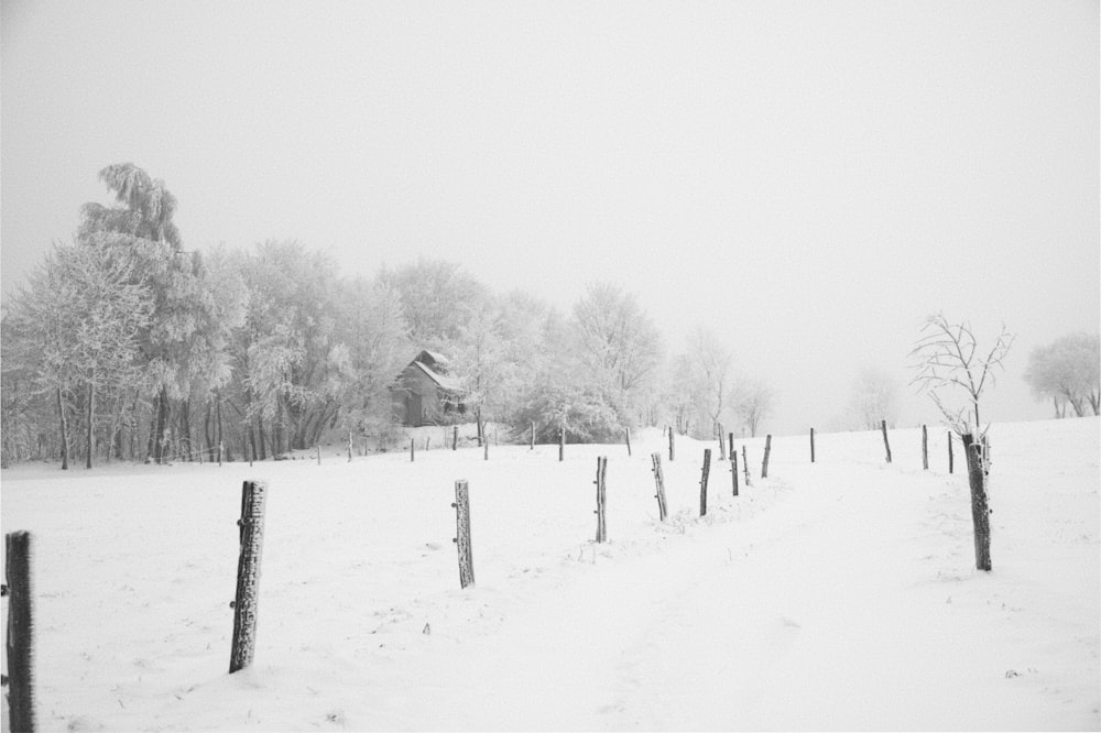 a black and white photo of a snow covered field