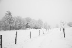 A snowy landscape featuring a path lined with wooden posts leading towards a small cabin surrounded by frosted trees. The area is covered in snow, creating a serene and quiet atmosphere.
