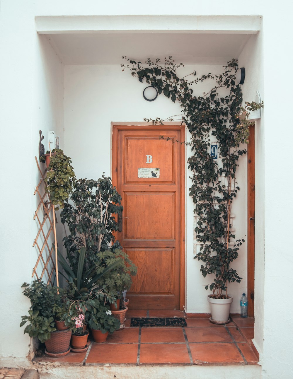 a wooden door surrounded by potted plants