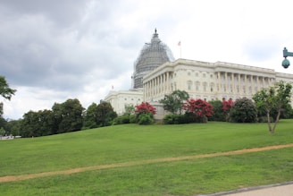 A large, historic government building with a prominent dome is partially surrounded by scaffolding, indicating renovation or construction work. The structure is situated on a well-maintained green lawn, with vibrant red and pink flowering bushes and dense trees nearby. The sky is overcast with thick, gray clouds.