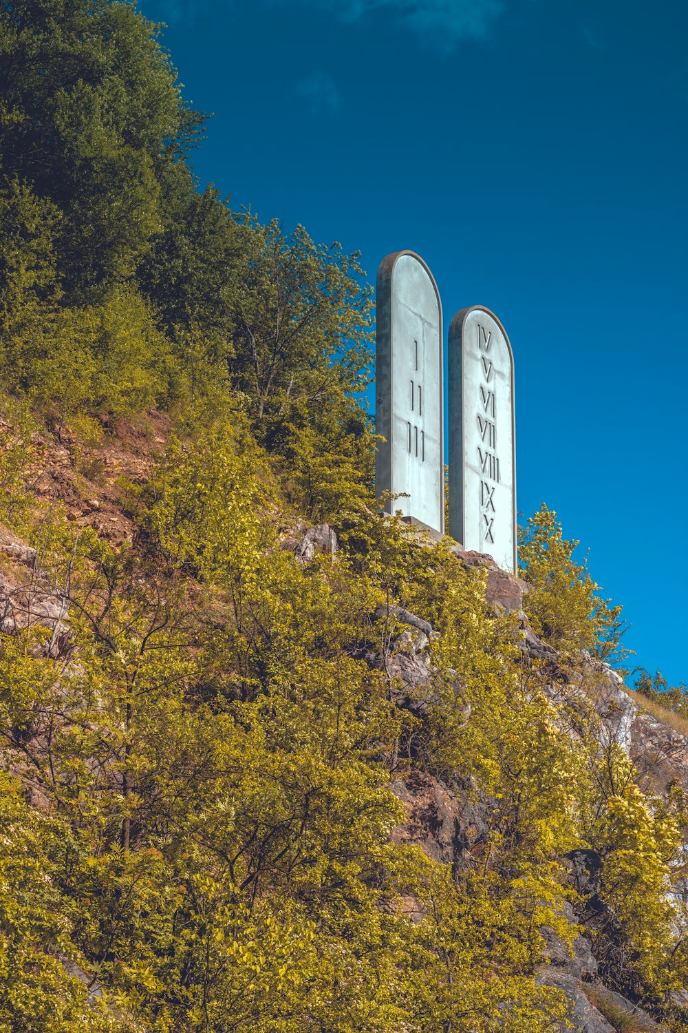 a sign on the side of a mountain with trees around it