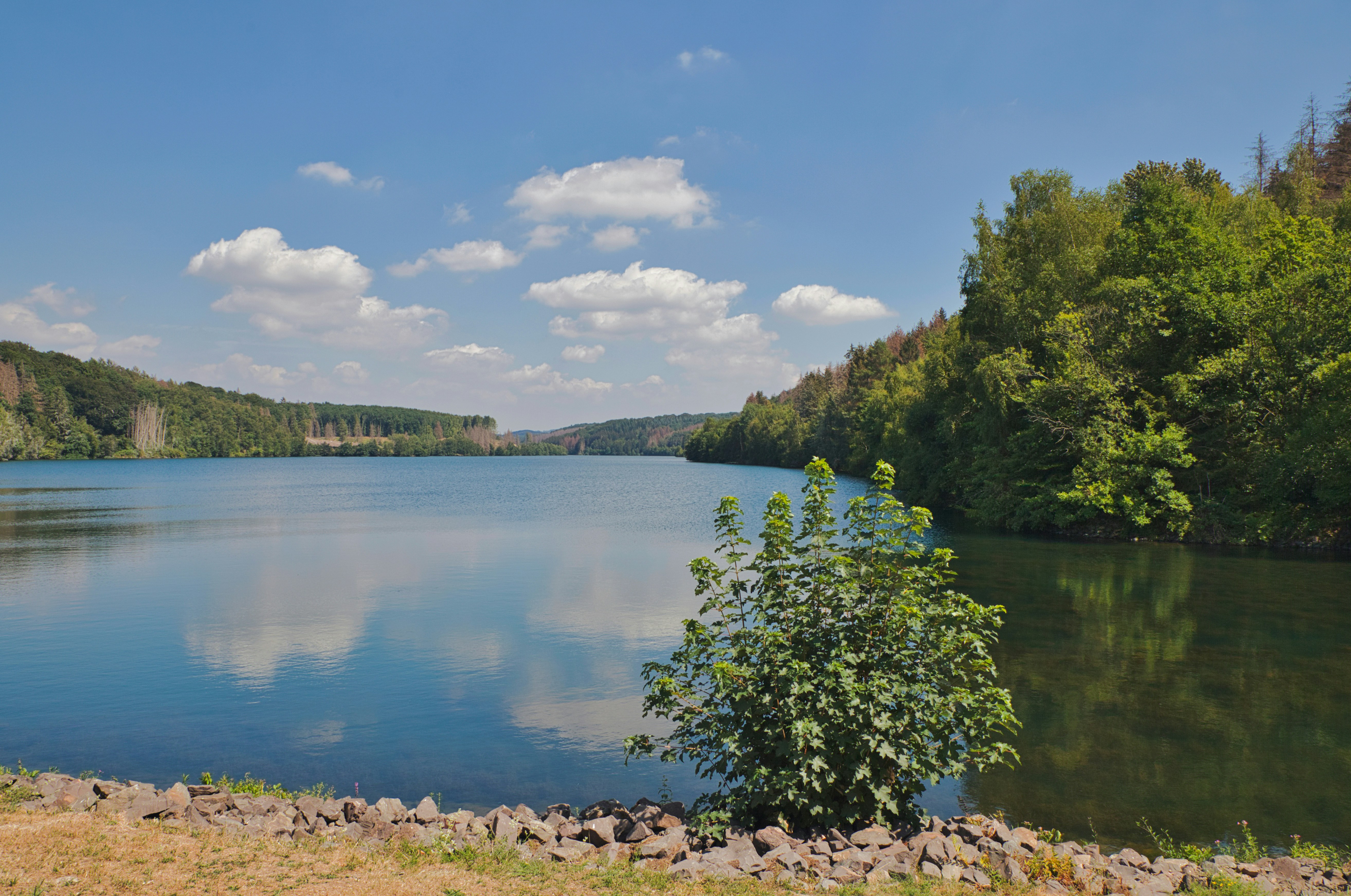 Photo by dermitdemohr