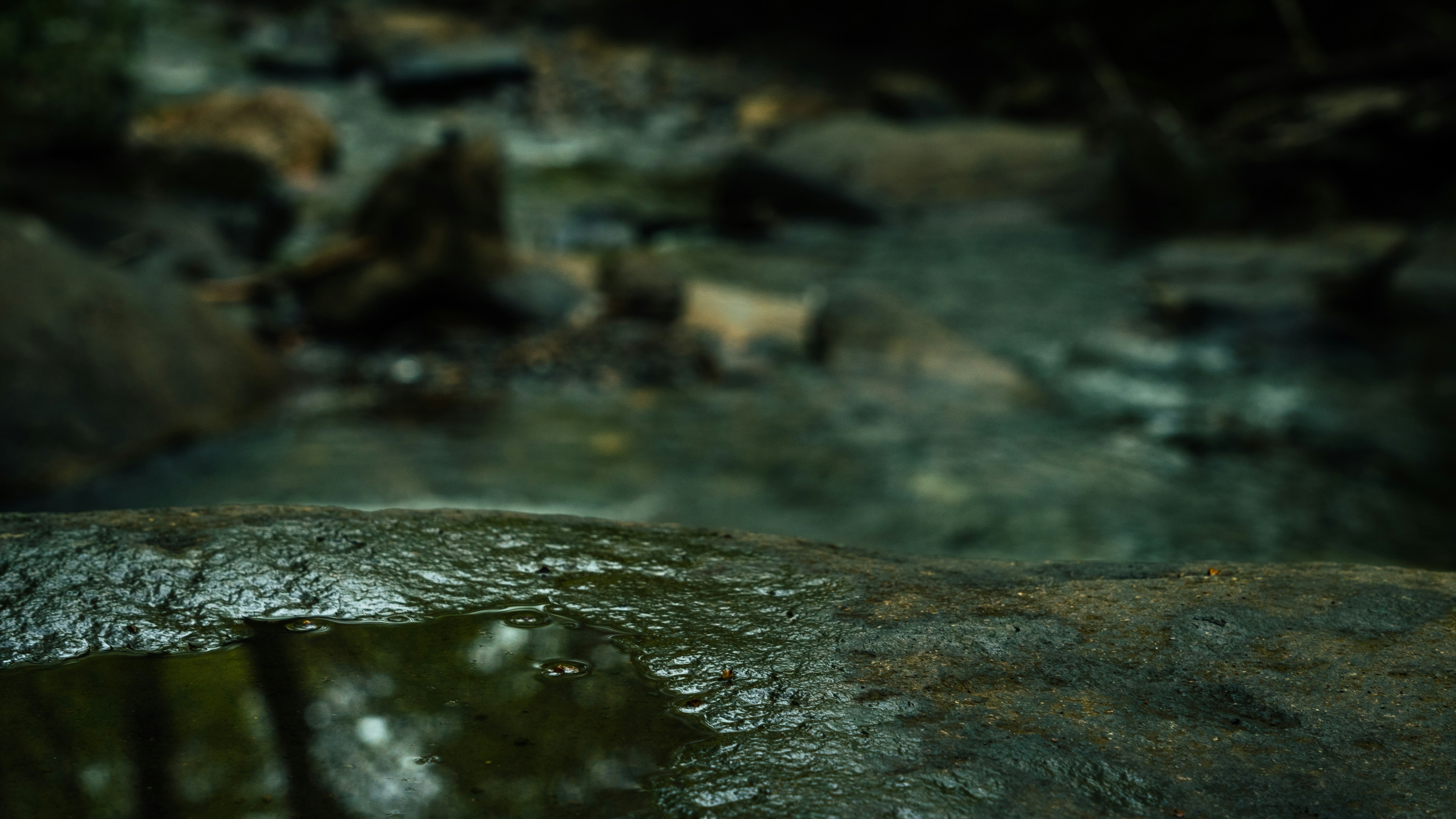 Photo by calebflores_photo