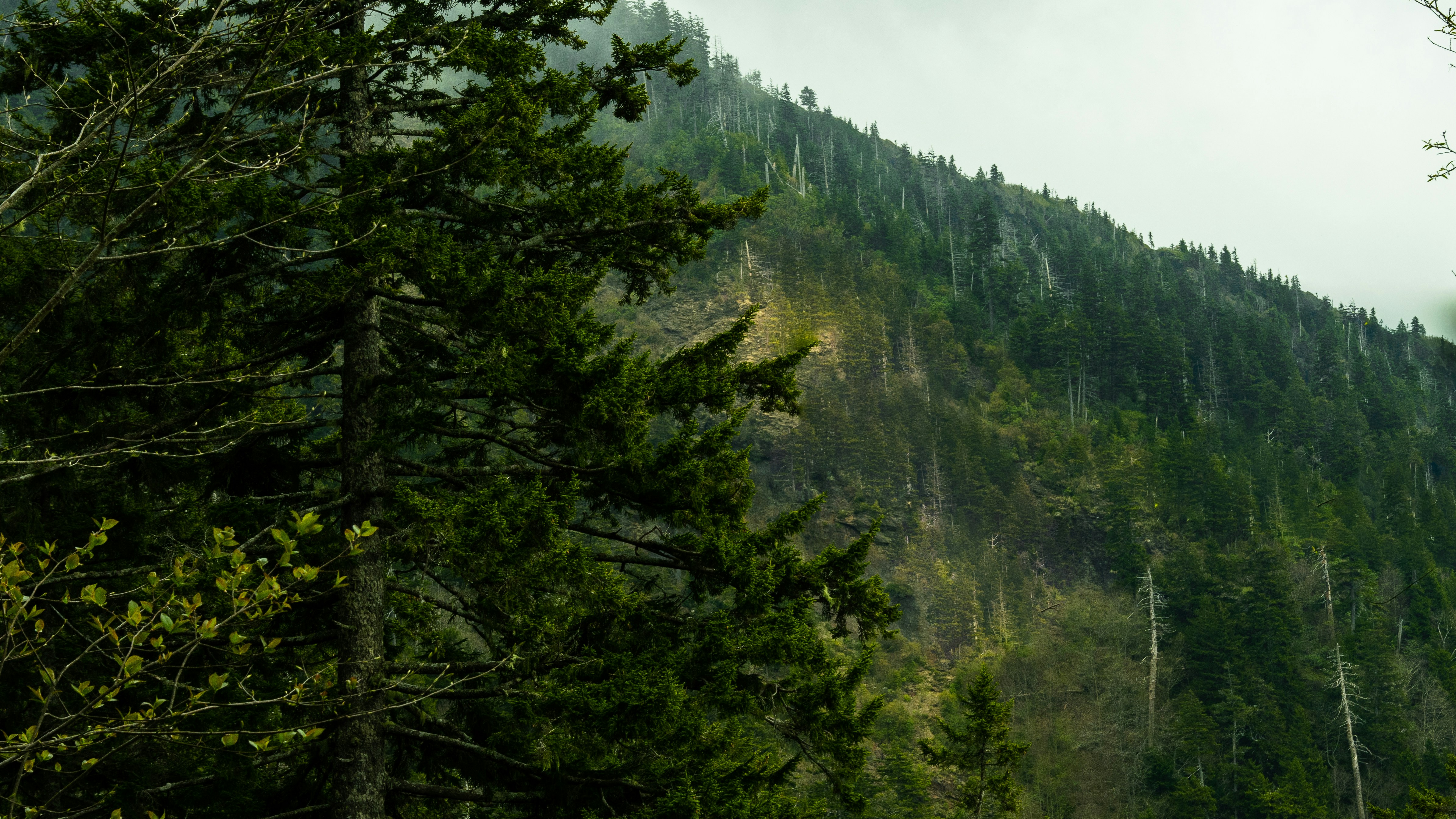 Photo by calebflores_photo