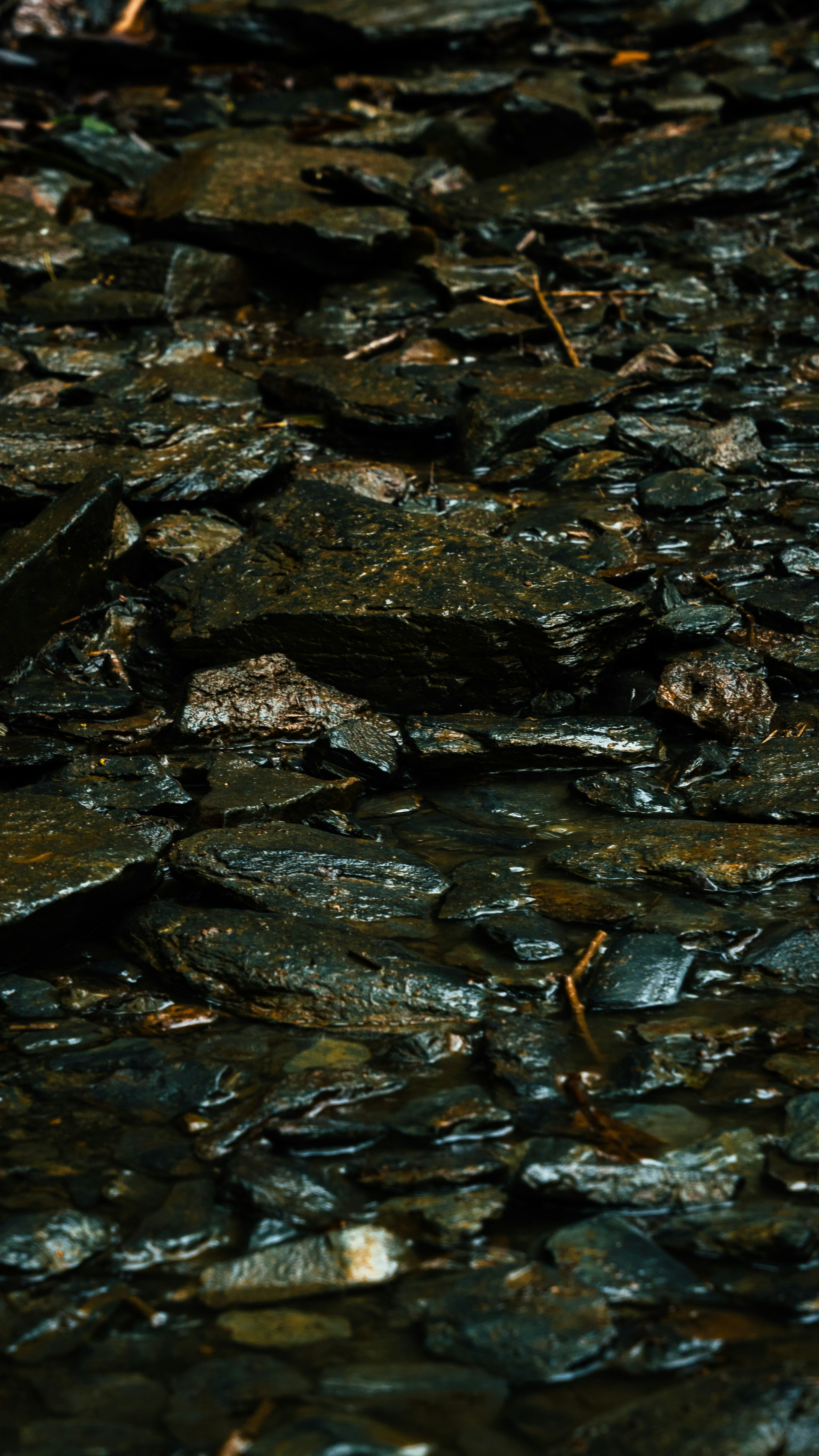 Photo by calebflores_photo