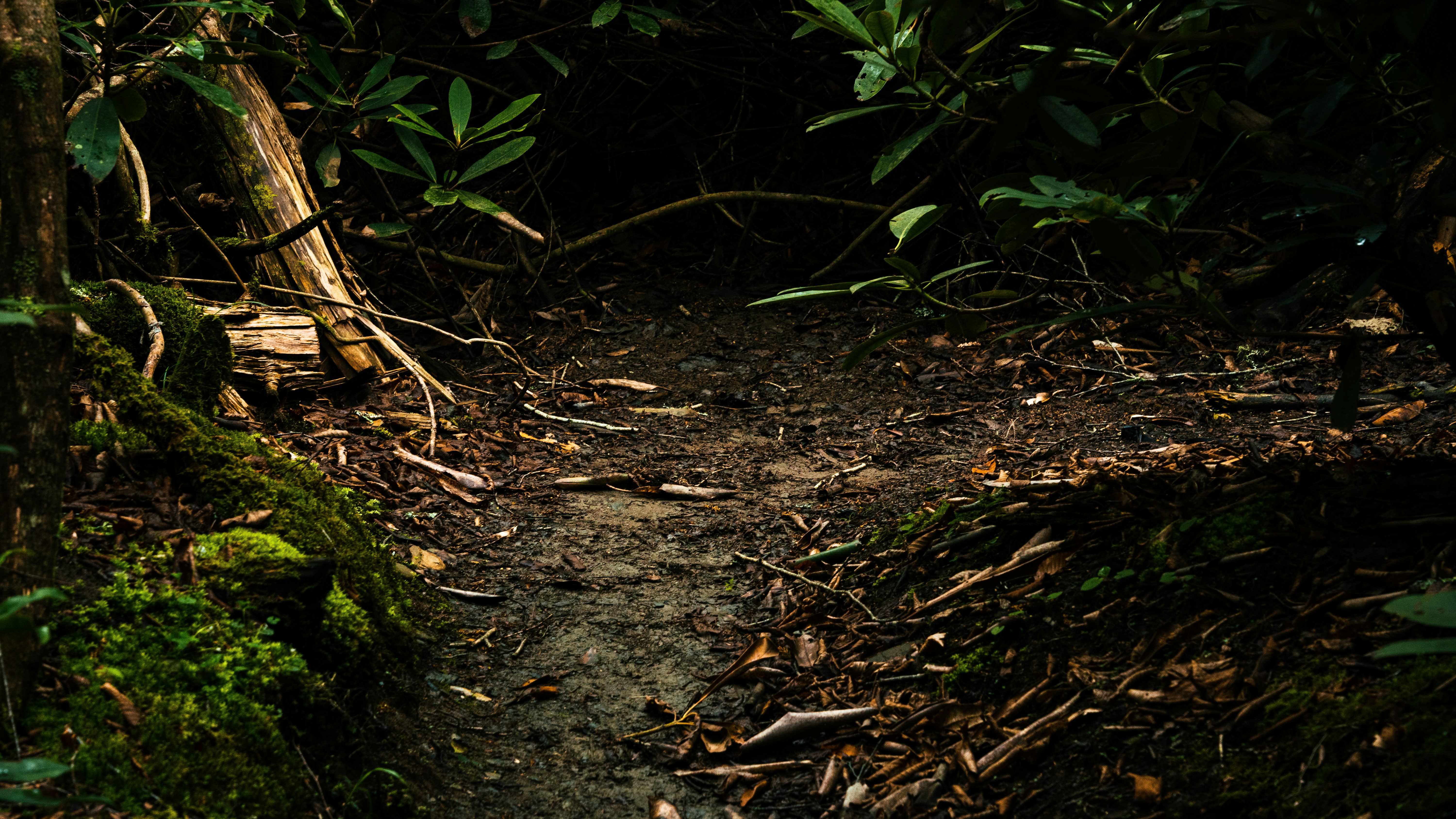 Photo by calebflores_photo