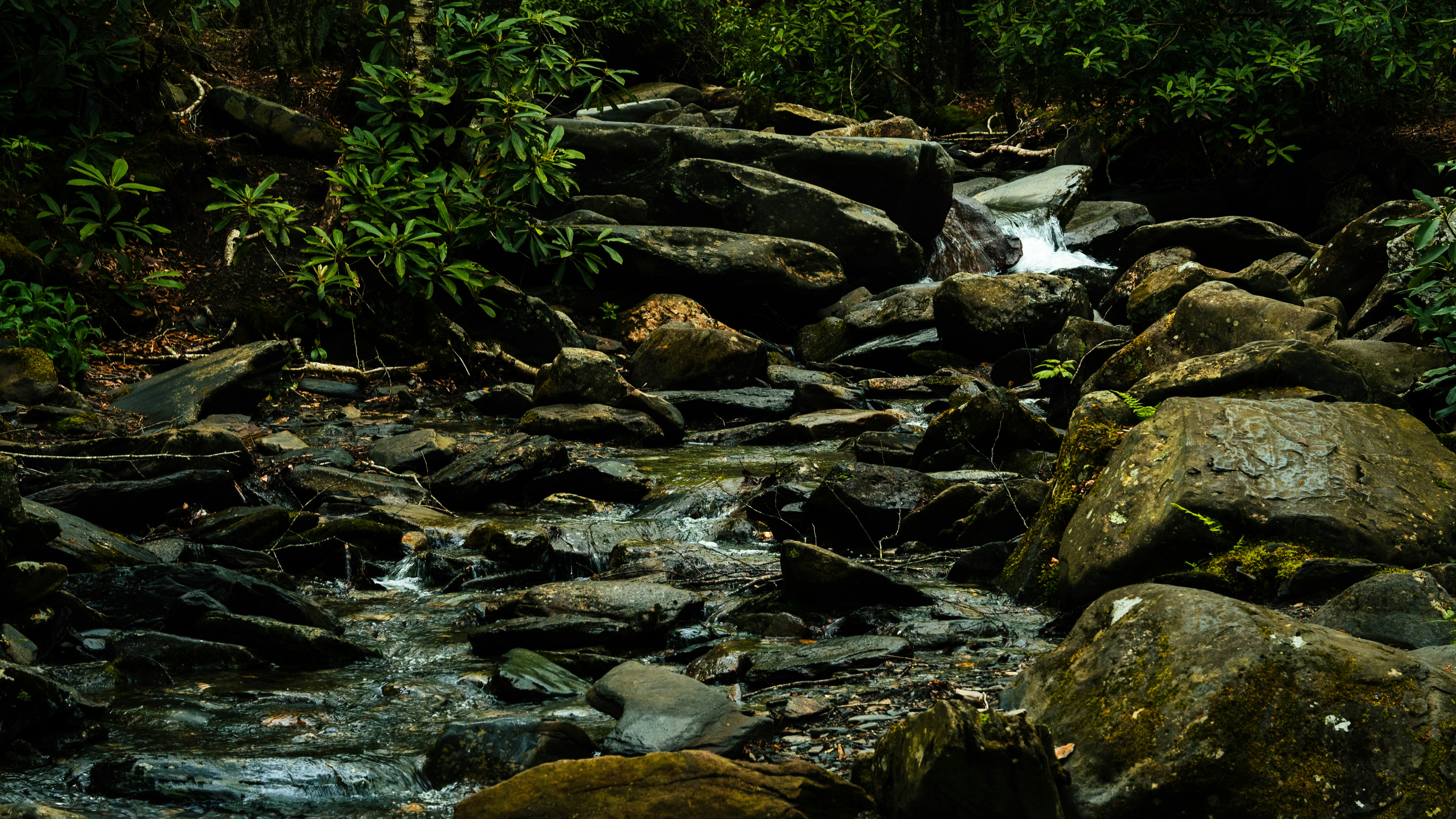 Photo by calebflores_photo