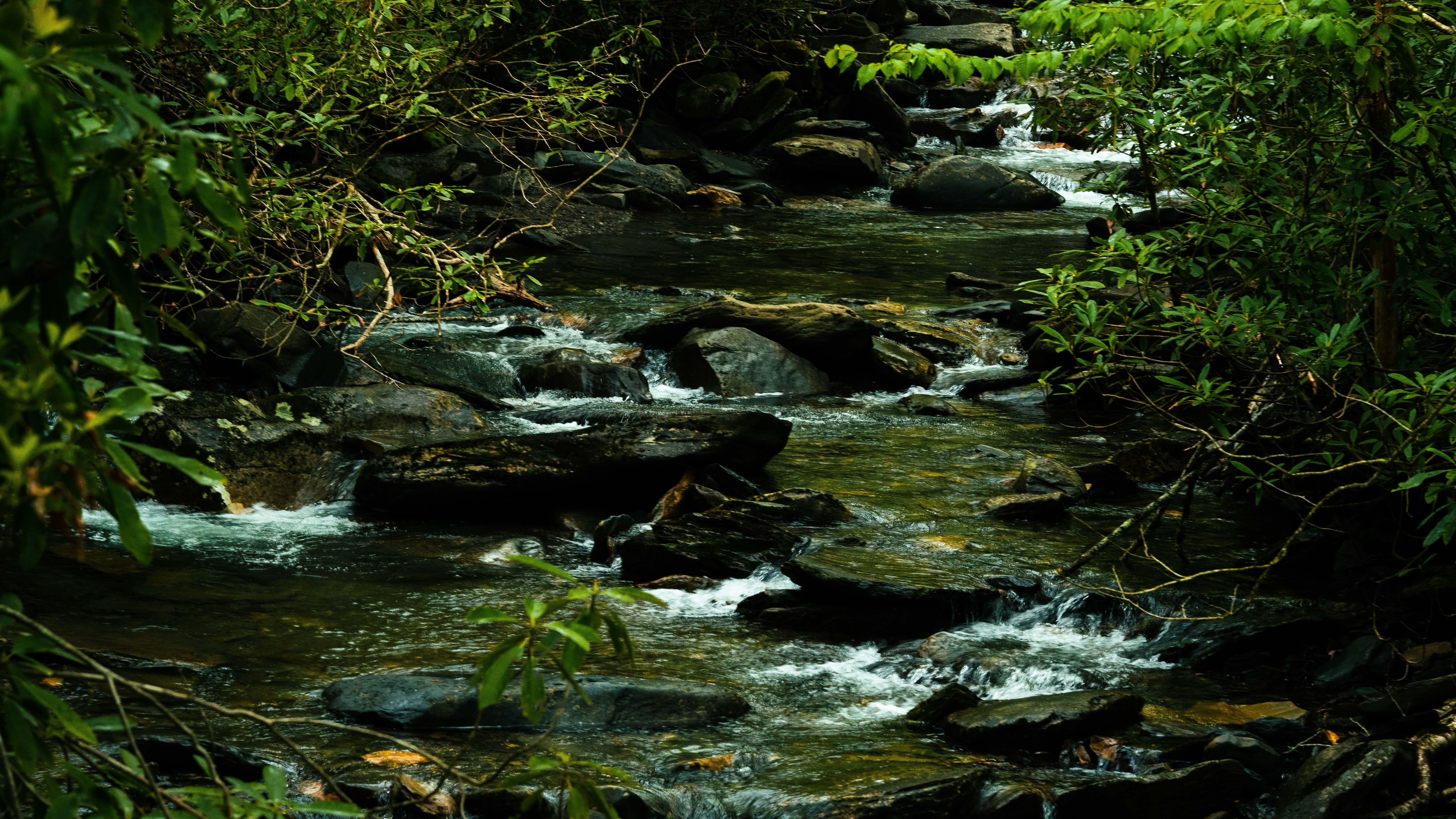 Photo by calebflores_photo