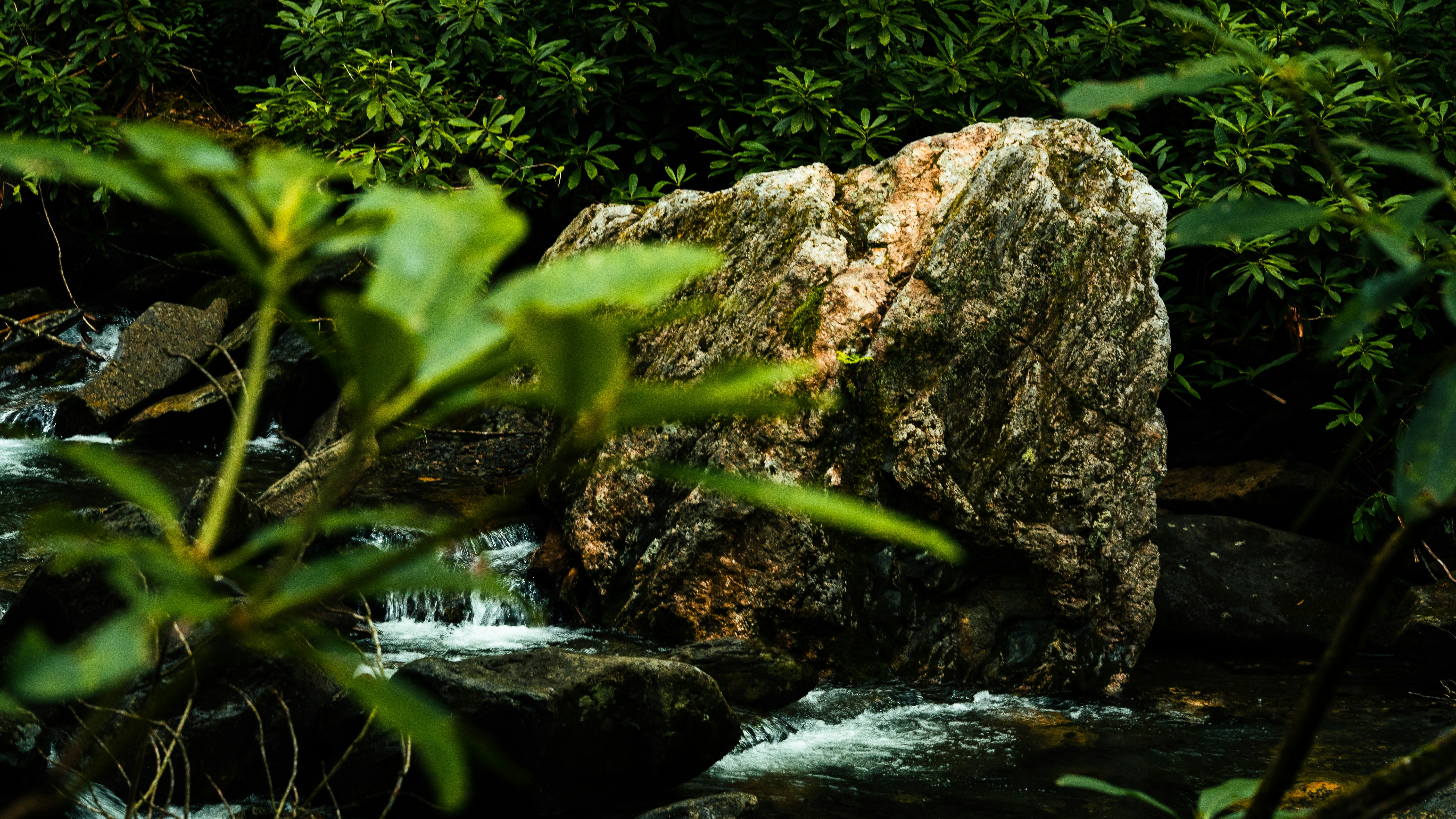 Photo by calebflores_photo